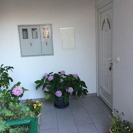 Apartament Masa Szybenik Zewnętrze zdjęcie