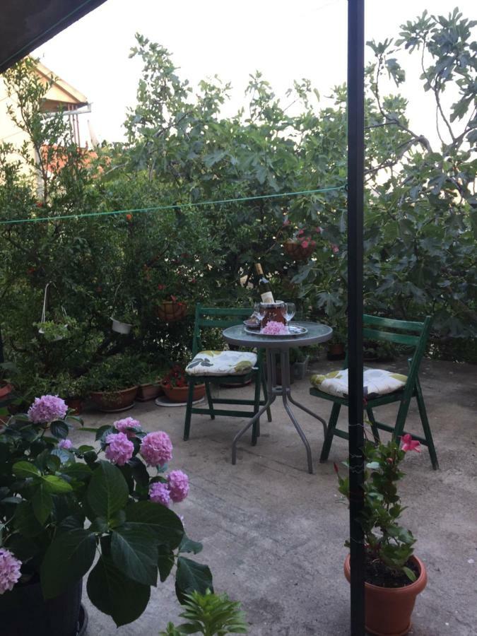 Apartament Masa Szybenik Zewnętrze zdjęcie